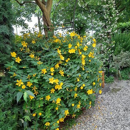 B&B La Quercia Di Mery La Villa  外观 照片