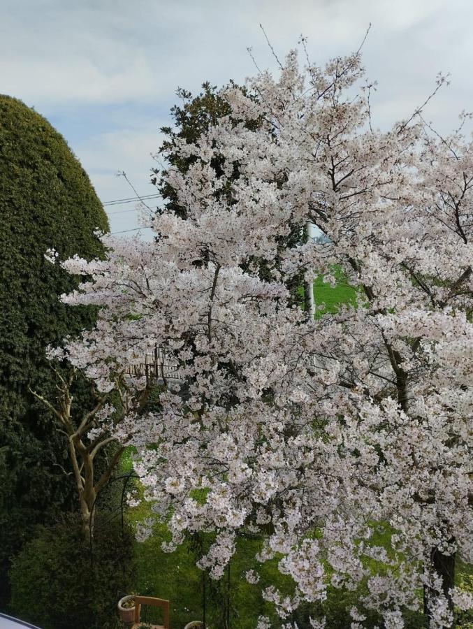 B&B La Quercia Di Mery La Villa  外观 照片